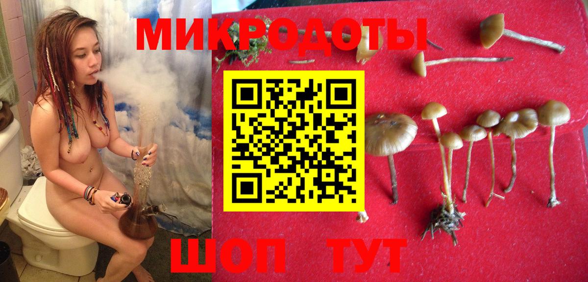 Большой Камень  Галлюциногенные грибы GOLDEN TEACHER  Вход с VPN  Галлюциногенные грибы MAGIC MUSHROOMS 